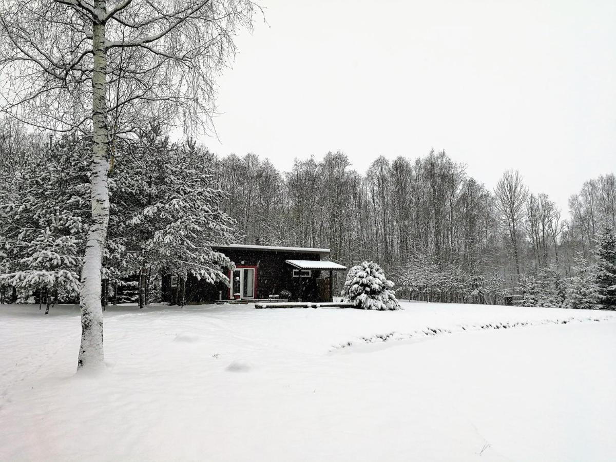 Aliai Guest House Utena Eksteriør bilde