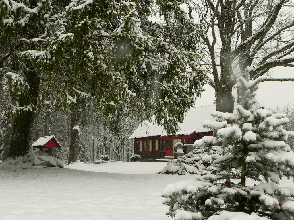 Aliai Guest House Utena Eksteriør bilde