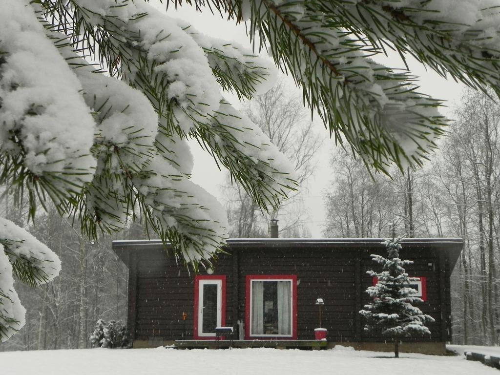 Aliai Guest House Utena Rom bilde